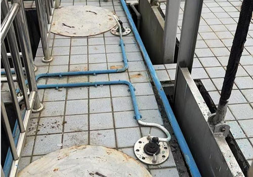 173736179736725.jpg 500.2.jpg